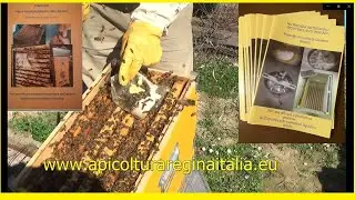 Famiglia su arnia langstroth a torre con modifiche di Giuliano Stracci