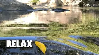 Chreav Waterfall Cambodia Through the Seasons | A Peaceful Year in Nature