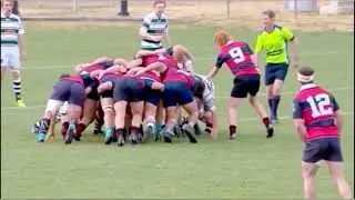 Max Shaw Rugby Union Highlights