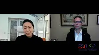 ESOWSO 2020: Global impact of COVID-19: the collateral damage on stroke care