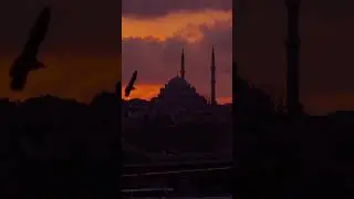 Everlasting | Hu Allah Hu | American Dervish