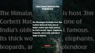 AmazingJunglesin India|Top5forests of Indiathateverynature lovermustvisit#shorts #forest #shortsfeed