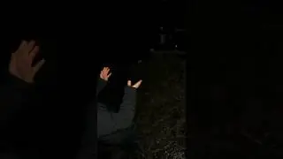 Nawiedzony Las w Witkowicach, konkretne odpowiedzi na konkretne pytania! #shorts #paranormal #ghost