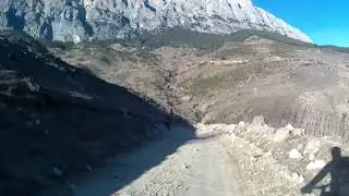 #побеготкороновируса