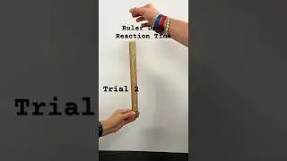Ruler Drop Reaction Time #physics #freefalling