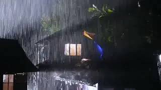 Rain in the Woods – Deep Sleep Sounds