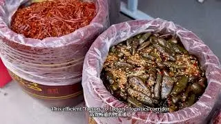 Spring Festival in Xi&rsquo;an Connects People from Different Cultures