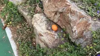 How to open an easter egg (how to basic parody)