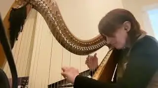 Happy Hardcore on the harp :) played by Little Ems (Emma Day)