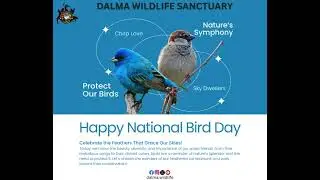National Bird Day