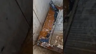 meu carro s&oacute; uso &aacute;gua da chuva #auto #car #aditivo #shorts