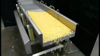 Vibratory Conveyor (Natural Frequency)