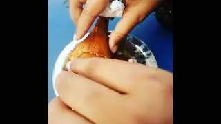 INA dahi ke sholey