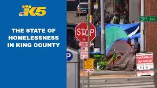 The state of homelessness in King County