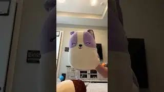 Pug&rsquo;s sad story