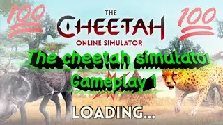 The cheetah simulator gameplay 1 the cheetah 