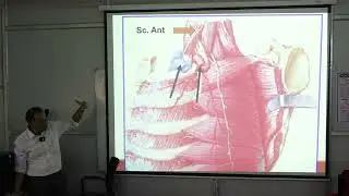 SGD On Anatomy of Typical Ribs: Structure, Classification & Clinical Relations | MBBS