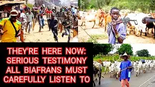 Over 300 Fulani Ť3**0*1$ť$ camp in Imo State: Vow to Takeover Entire Igboland