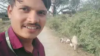Road Pe Kya Kya Mil Gaya 😲 | Traffic Police & Animals Vlog