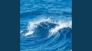 浪浪人生