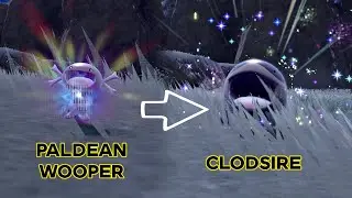 Paldean Wooper evolves to Clodsire // Pokemon Evolution