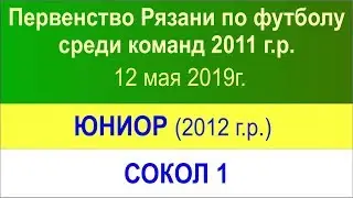 2019-05  Юниор (2012) &ndash; Сокол 1