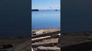Unbelievably, that little boat easily pulls a big ship!!    I ❤️ garry point park Vancouver Can 🇨🇦