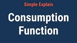 What Is the Consumption Function?