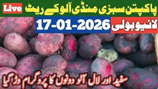 Potato Price Today | Red Potato Price Increased,White Potato Price Decreased | Pakpattan Sabzi Mandi