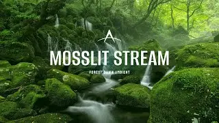 Mosslit Stream &mdash; Arctesia: The Sylvan Realm | Forest Dawn Ambient
