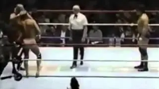Randy Savage and Jesse the body Ventura VS. Tito Santana and Tony atlas