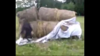BASTIENS - CZECH FREERUNNING