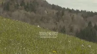 Fantasy Adventure Group running on meadow &ndash; Slow Motion