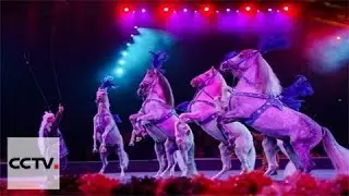 Acrobats from around the world rehearse for 3rd Int'l Circus Festival