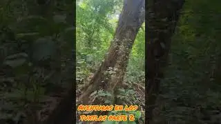 Aventuras  en los tuxtlas 