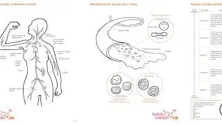A look inside Full Body Systems with Andrea Nakayama