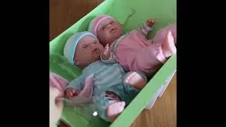 Cute and Lovely- Berenguer Boutique Baby Twins Deluxe Gift set #short #shorts #babydoll