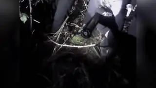 Body cam footage from Christmas Day shooting
