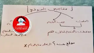 الإحصاء الوصفي : مقاييس الموقع ، المئينات والرتب المئينية