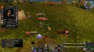 Level 1 Twink BiS Rogue Levels Up