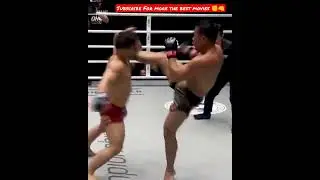 Excellent One Punch Kick Amazing knockout Превосходный Удар Ногой Безумно Жесткый Нокаут