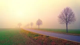 Escape the Noise: A Relaxation and Focus Video for a Quiet Mind