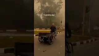 Chandigarh in winter session #chandigarh #viral #punjab #winter