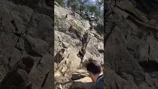 Billy goat trail section A #shortsvideo #dmvhikes #shorts
