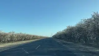 Fresno Blossom Trail
