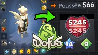 R&Eacute;FL&Eacute;CHIR ? Nouveau stuff Cra 566 DO POU SUR DOFUS 3