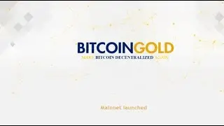 Майнинг Bitcoin gold, пул, кошелек, статистика