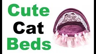 Cute Cat Beds - 5 Best Cute Cat Beds ||