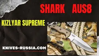 Video review Shark AUS8 Kizlyar Supreme knife from knives-russia.com
