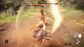Zhang Liao No Heals Boss Fight